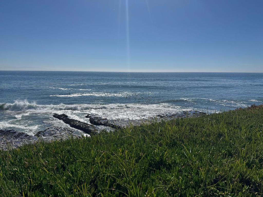 MLS #ML82025356 image #15