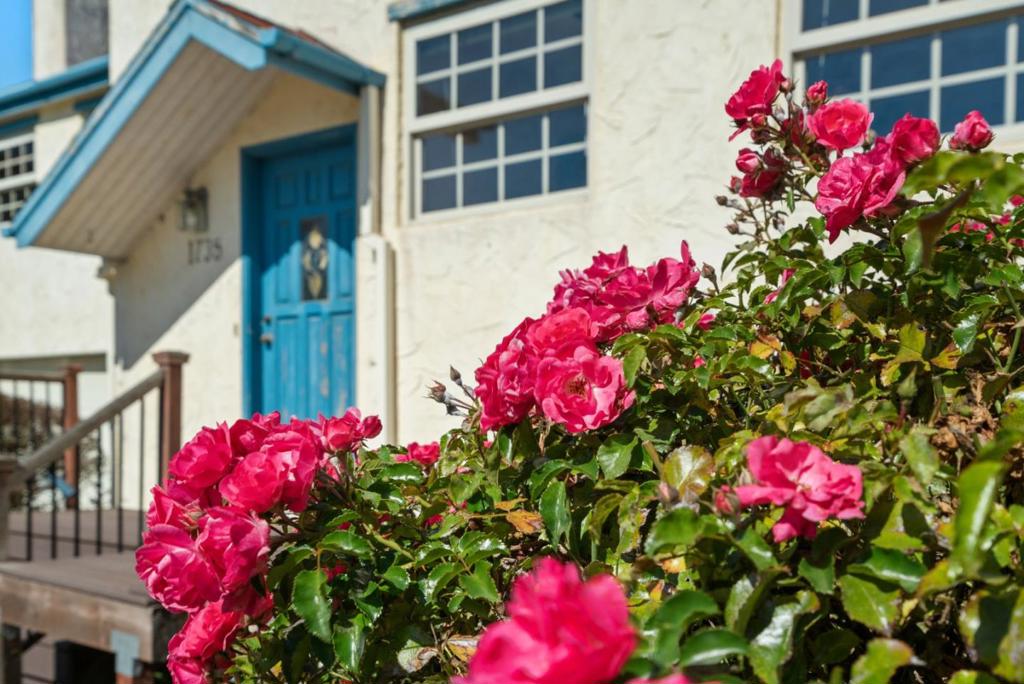 MLS #ML82025364 image #4