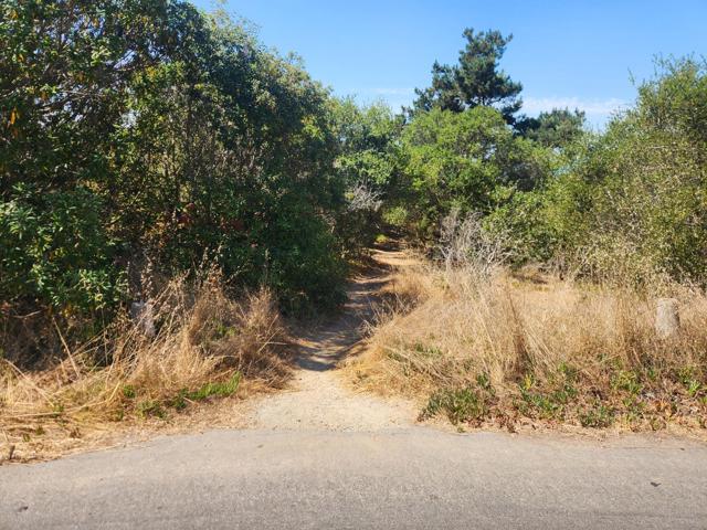 MLS #ML82025376 image #41