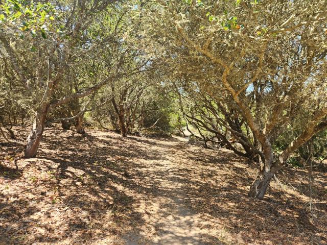 MLS #ML82025376 image #42