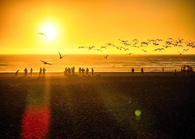 MLS #ML82025406 img 96