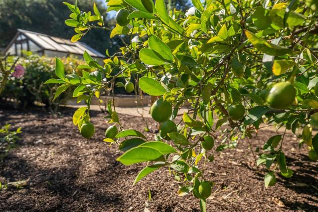 MLS #ML82025510 image #73