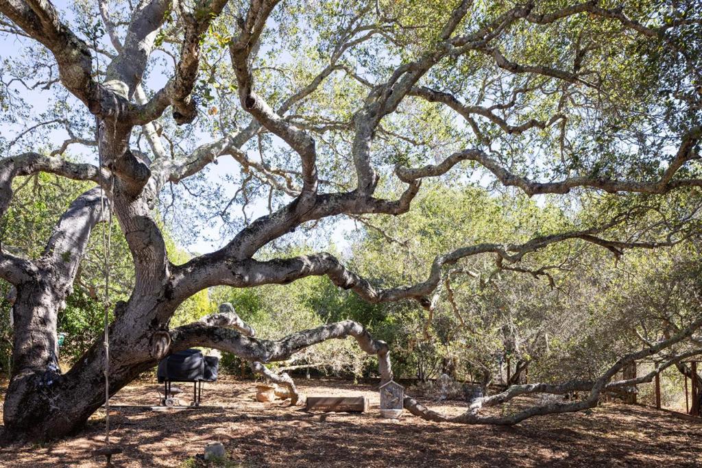 MLS #ML82025578 image #23