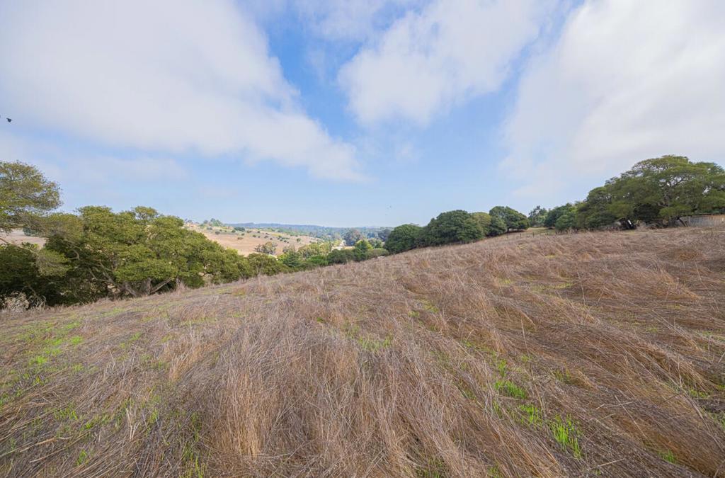 MLS #ML82025672 image #13