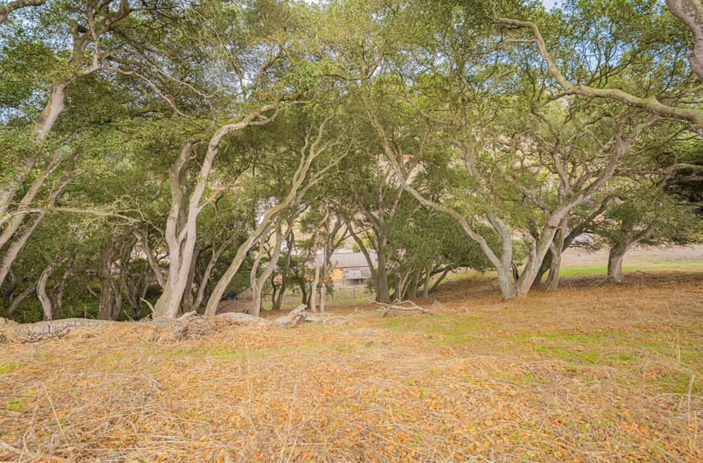 MLS #ML82025672 image #14