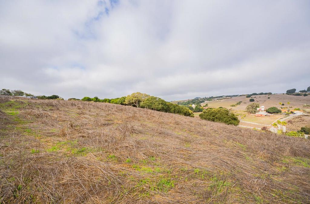 MLS #ML82025672 image #16