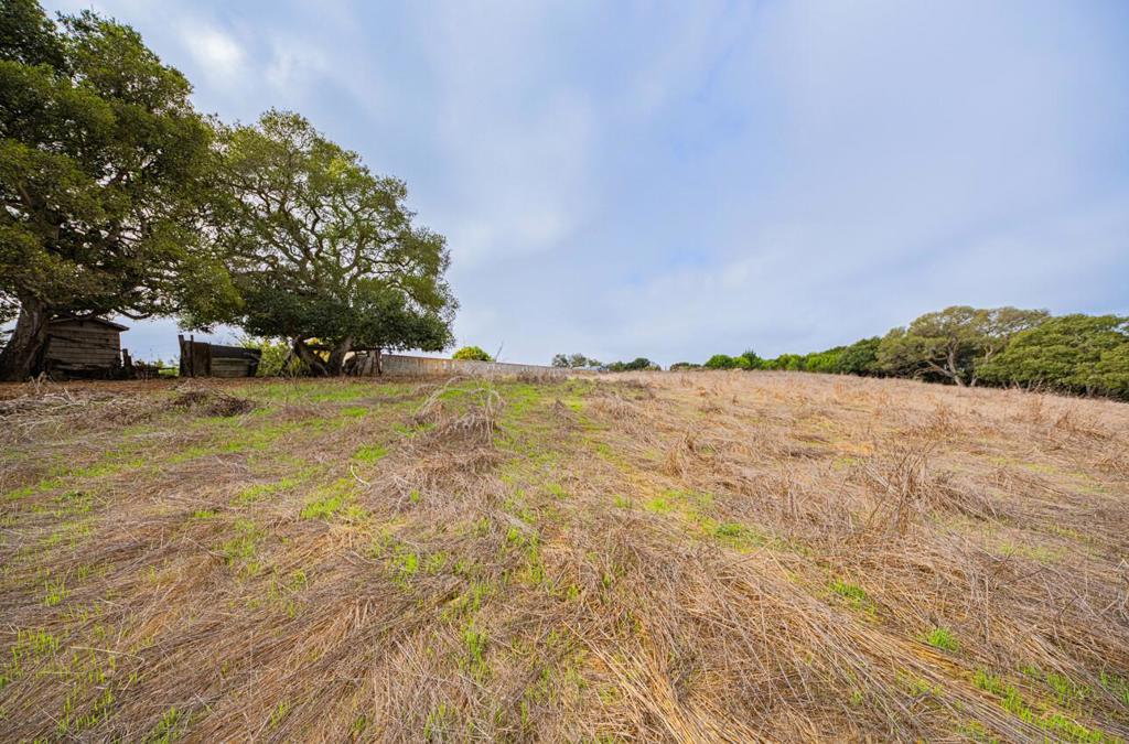 MLS #ML82025672 image #17