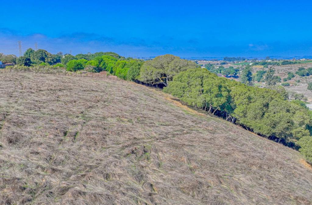 MLS #ML82025672 image #5