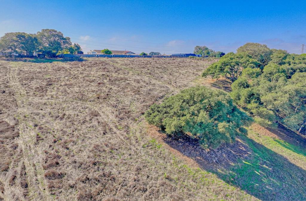 MLS #ML82025672 image #6