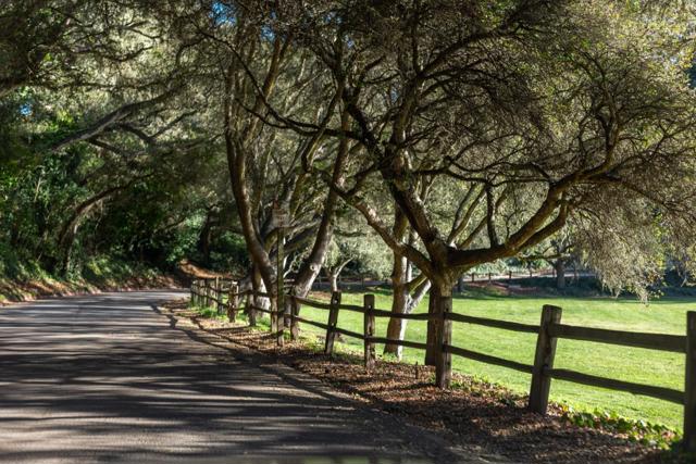 MLS #ML82022248 image #21