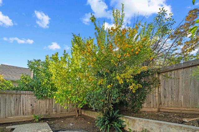 MLS #ML82025910 image #36