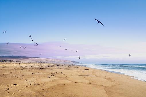 MLS #ML82009137 image #11