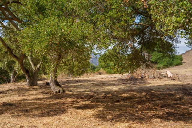 MLS #ML82026071 image #5