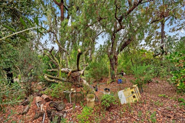 MLS #ML82026119 img 32