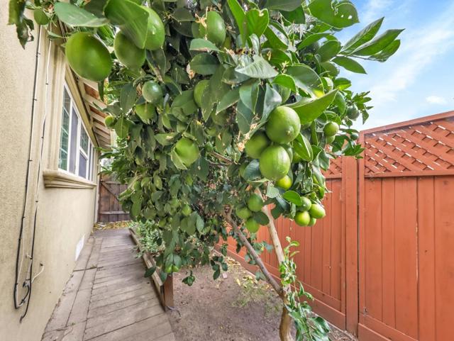 MLS #ML82026173 image #27