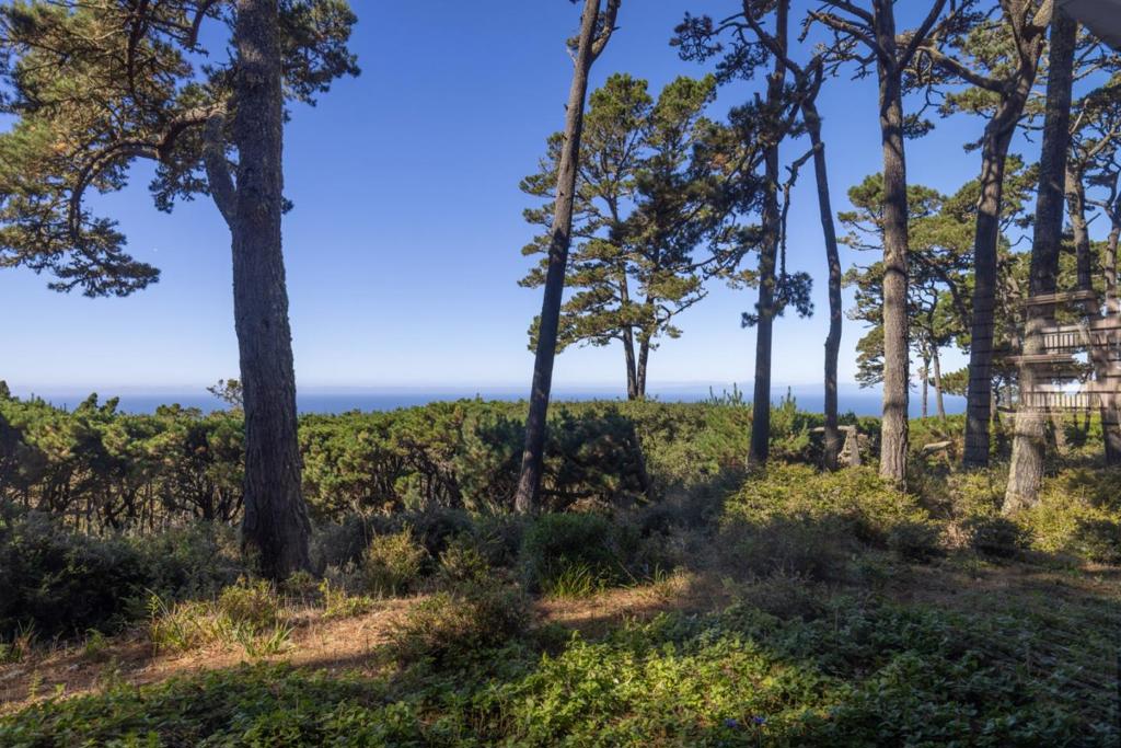 MLS #ML82026226 image #23