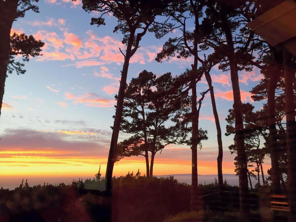 MLS #ML82026226 image #24