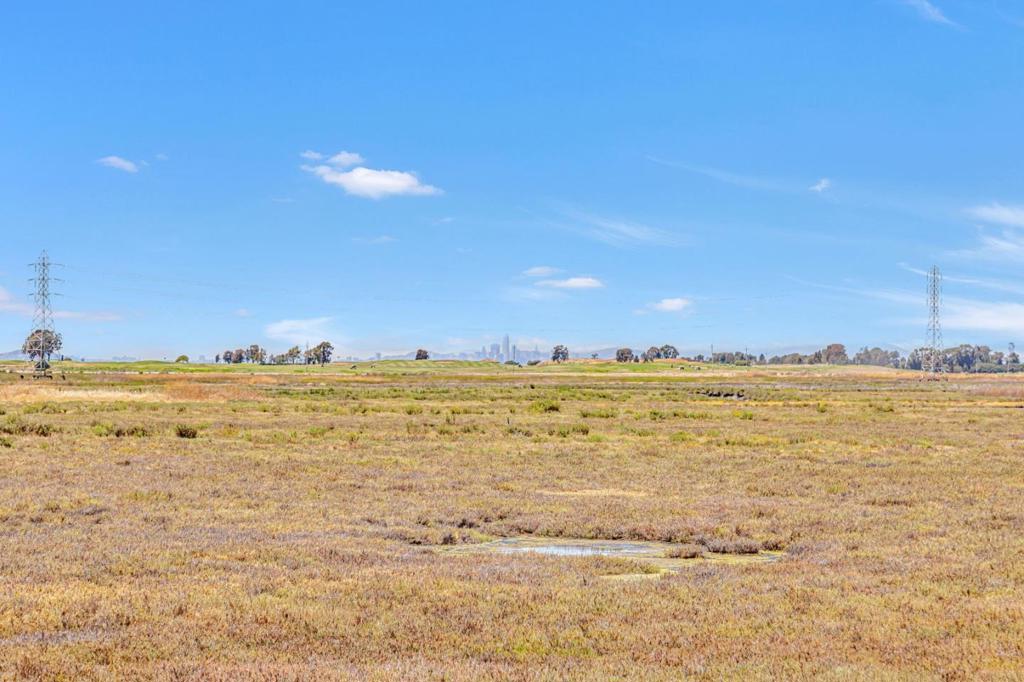 MLS #ML82026242 image #51