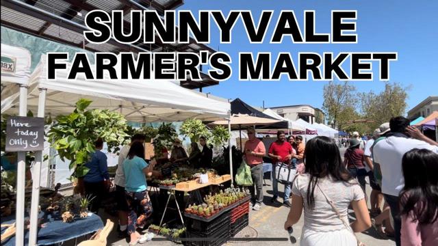 MLS #ML82026251 image #35