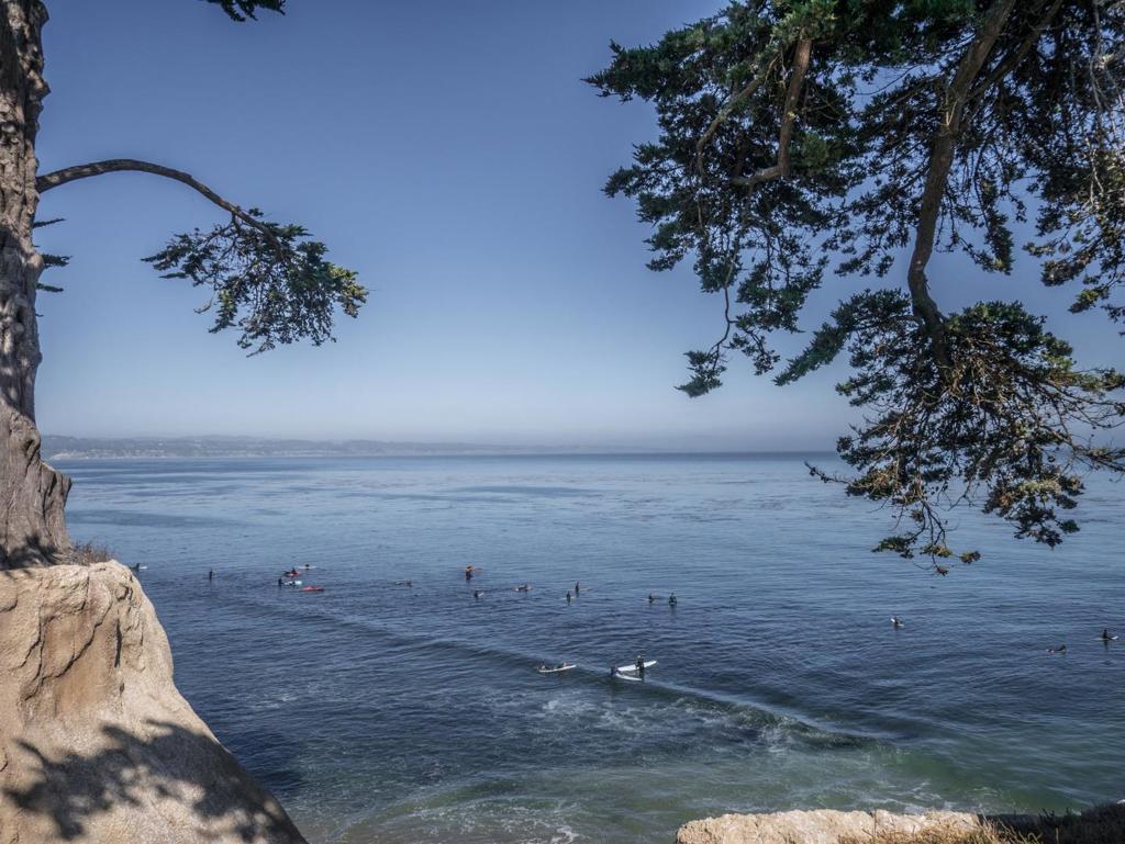 MLS #ML82026308 image #39