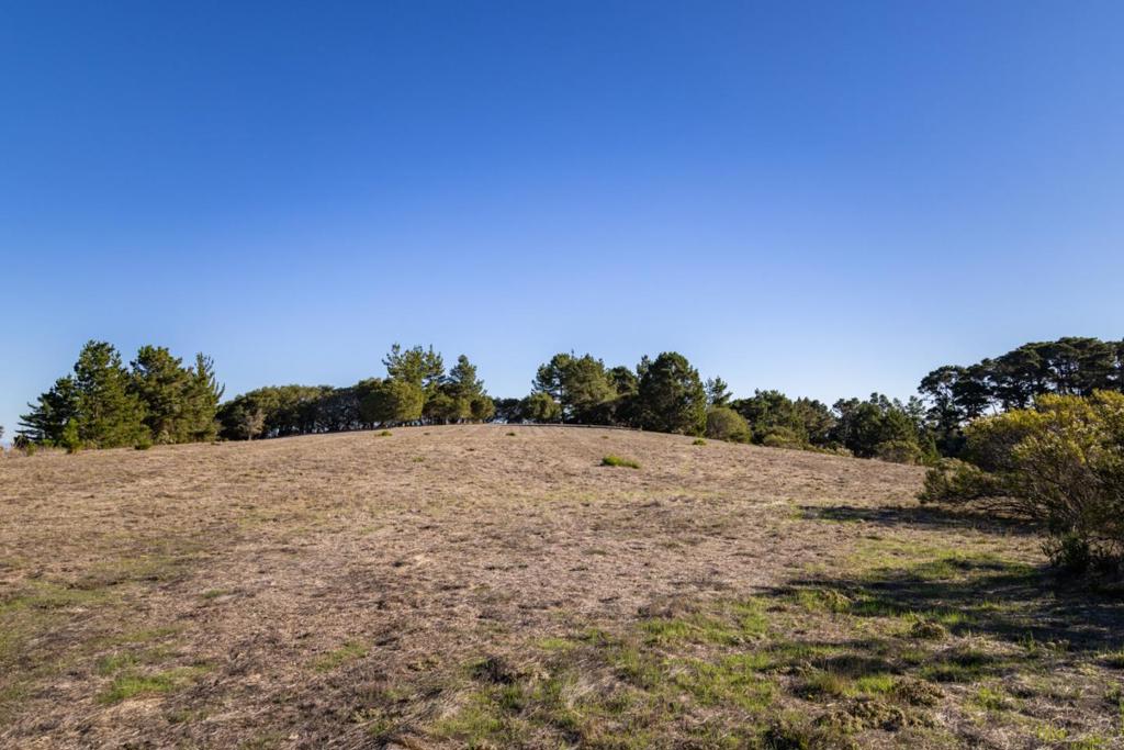 MLS #ML82026431 image #12