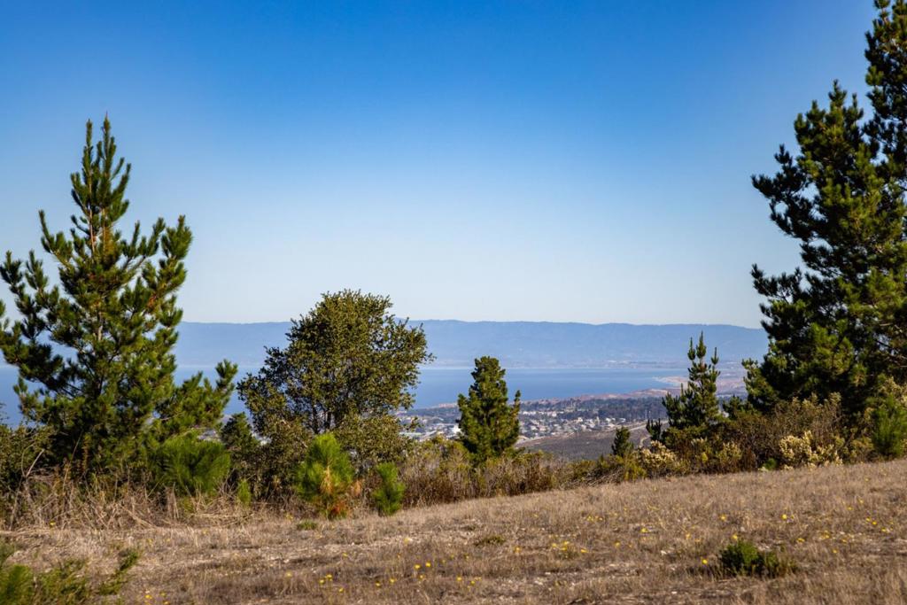 MLS #ML82026431 image #14