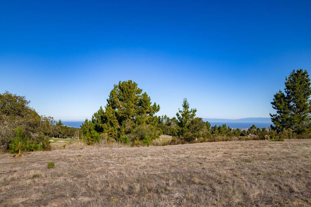 MLS #ML82026431 image #16