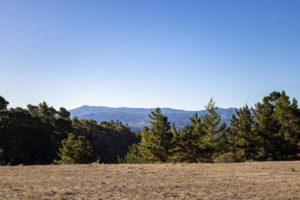 MLS #ML82026431 image #17