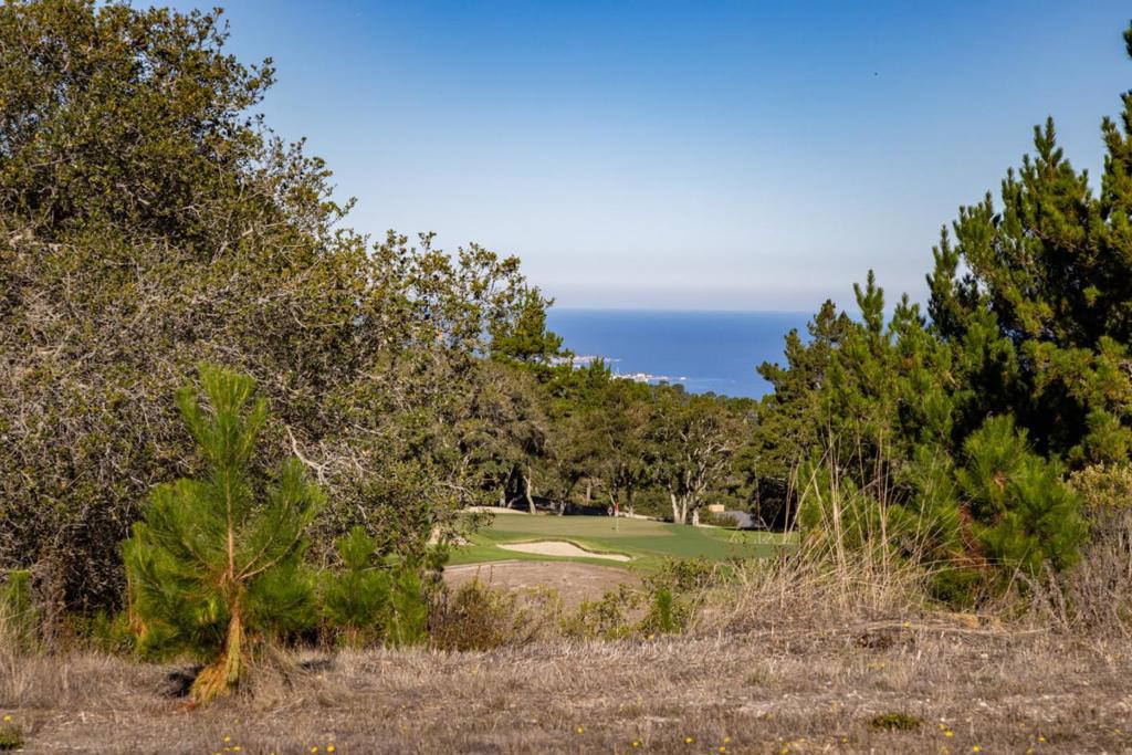 MLS #ML82026431 image #2