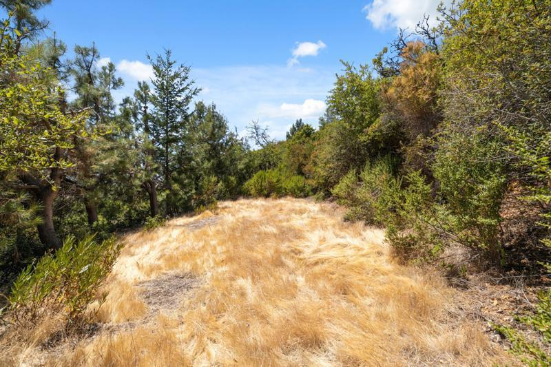 MLS #ML82026584 image #13