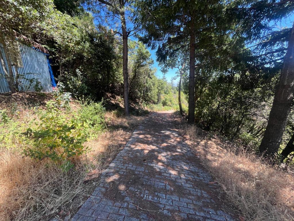 MLS #ML82026584 image #14