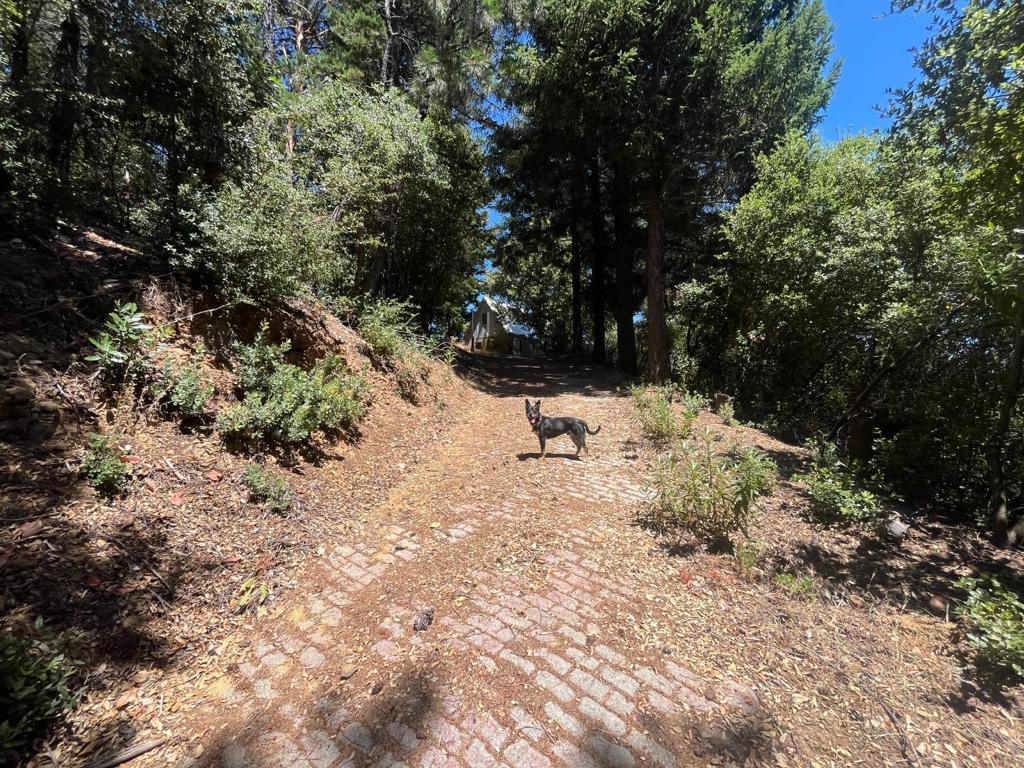 MLS #ML82026584 image #15