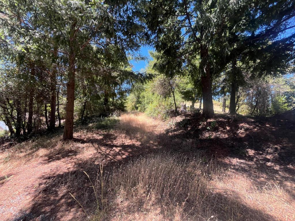 MLS #ML82026584 image #18