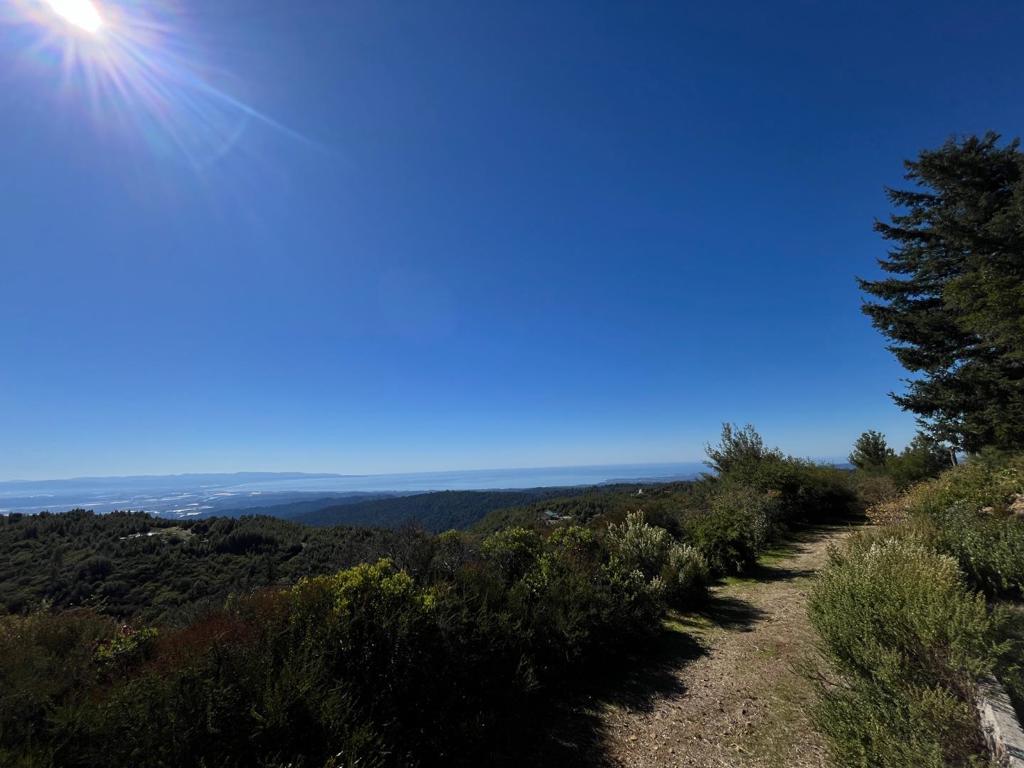 MLS #ML82026584 image #19