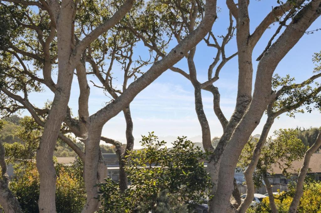 MLS #ML82026803 image #33