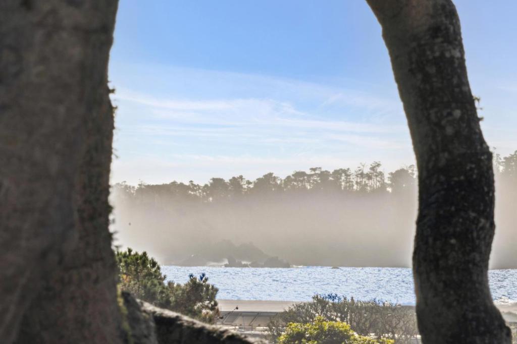 MLS #ML82026803 image #38