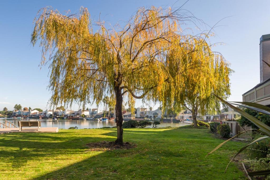 MLS #ML82026818 image #26