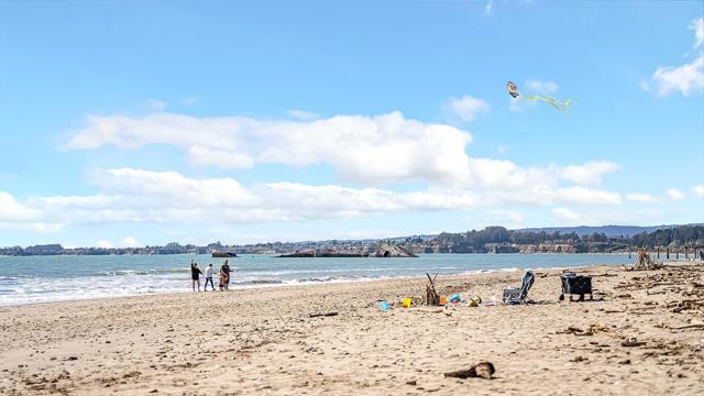 MLS #ML82026898 image #24