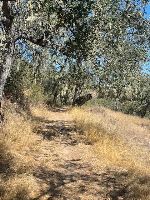 MLS #ML82026938 image #4