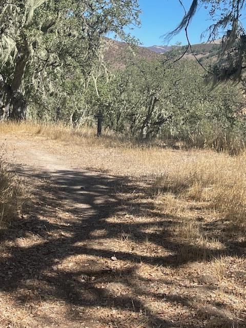 MLS #ML82026938 image #5