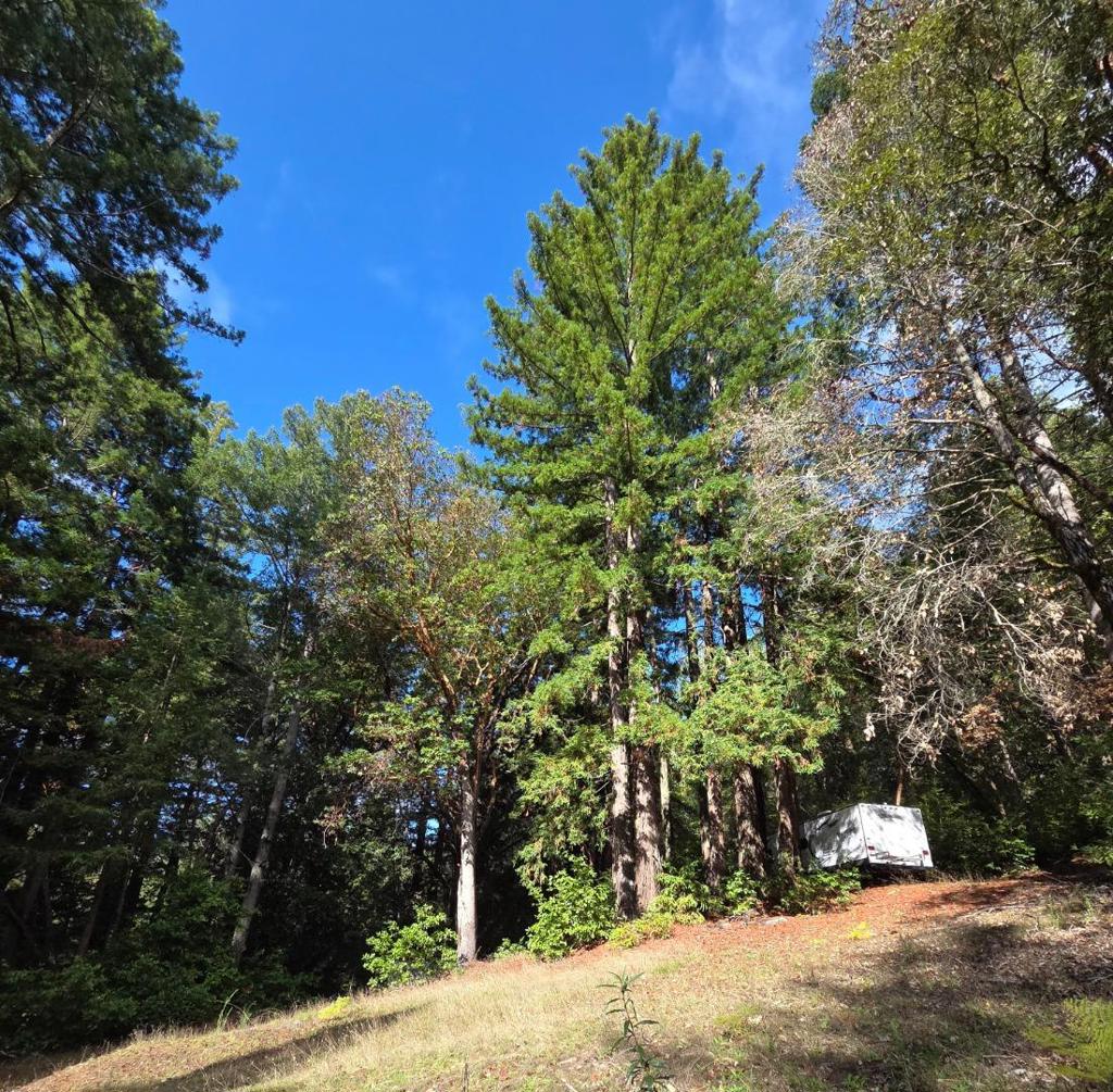 MLS #ML82027075 image #10