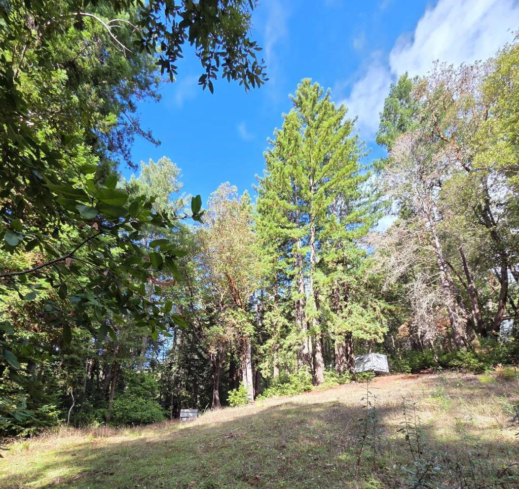 MLS #ML82027075 image #11