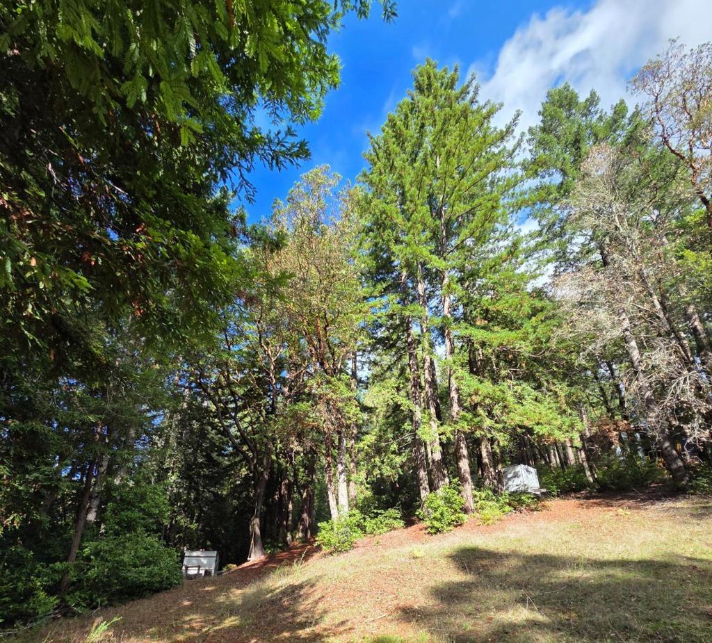 MLS #ML82027075 image #12