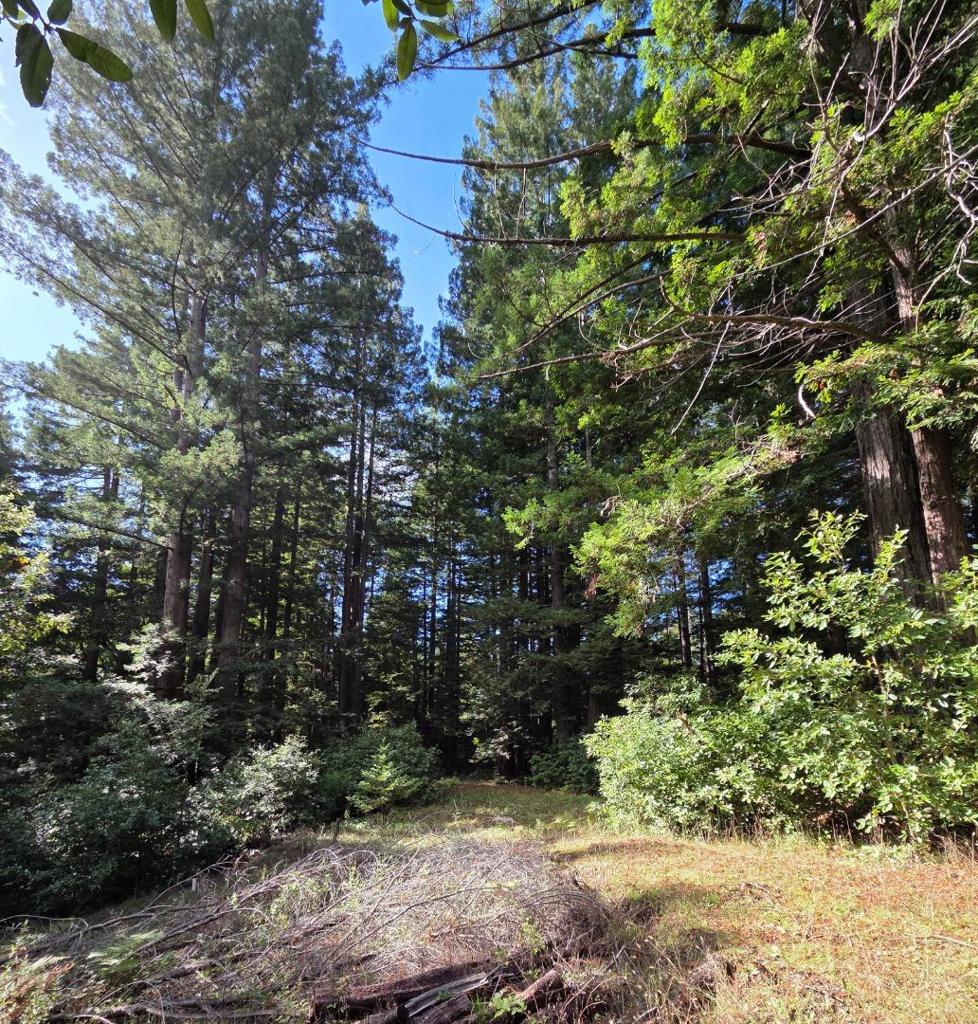 MLS #ML82027075 image #13