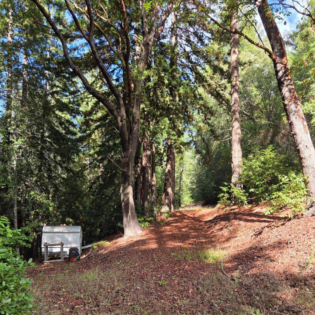 MLS #ML82027075 image #15