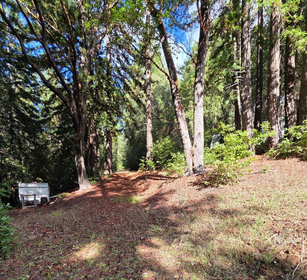 MLS #ML82027075 image #16