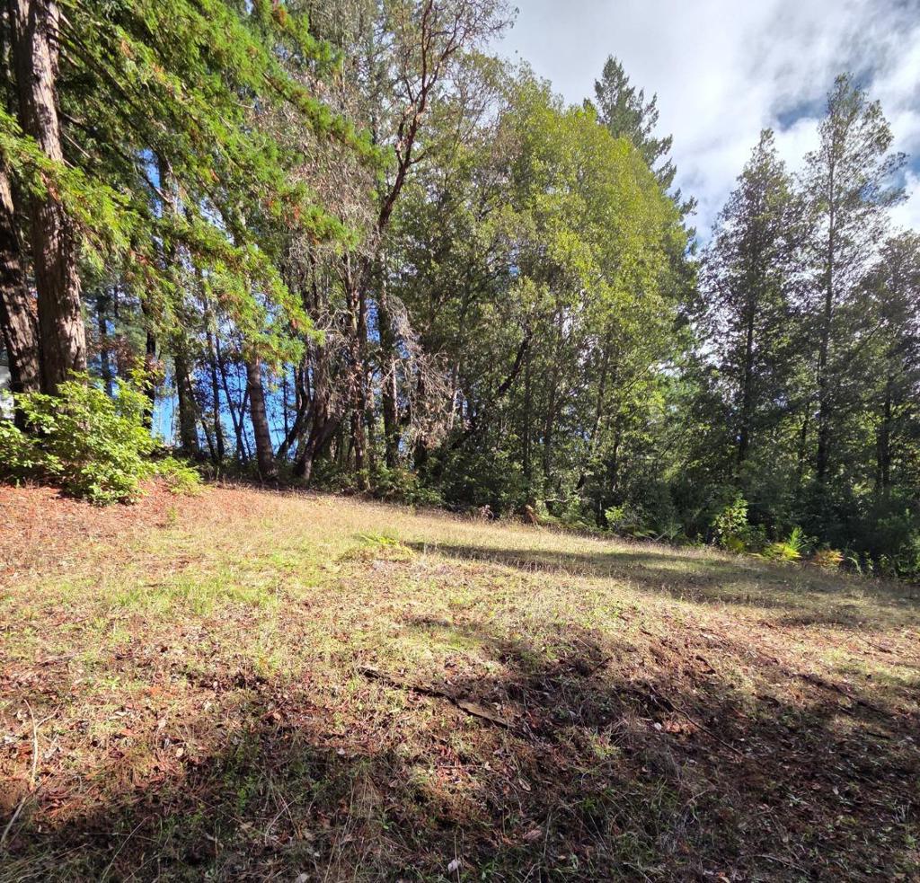 MLS #ML82027075 image #17