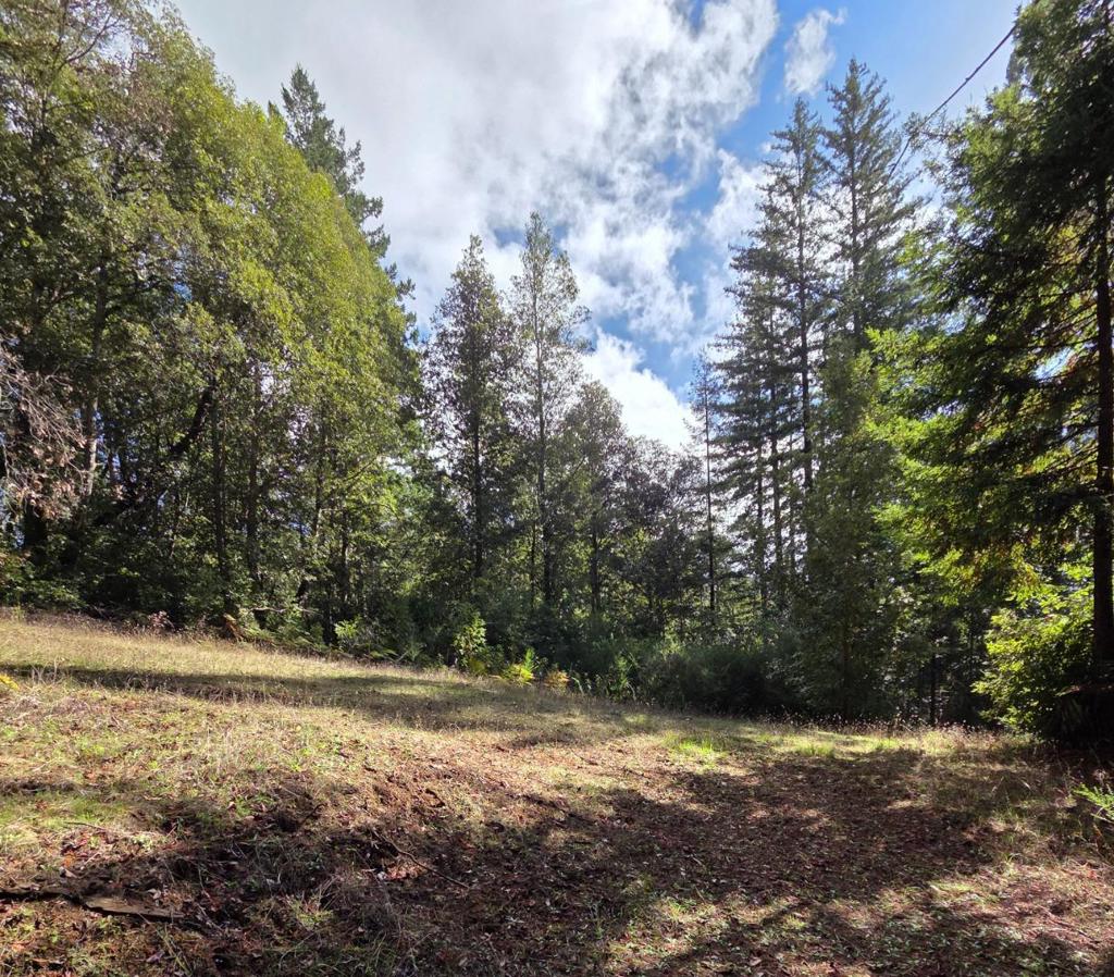 MLS #ML82027075 image #18