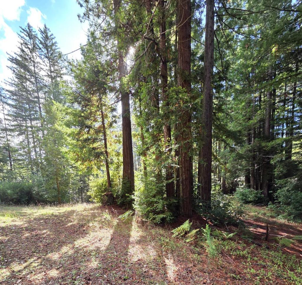 MLS #ML82027075 image #19