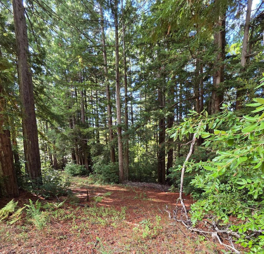 MLS #ML82027075 image #20